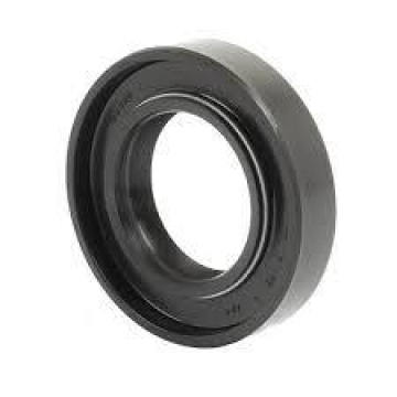 Double Lips FKM/FPM Rubber Oil Seals with Iron Spring Insert